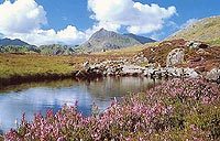 81_CribGochfromCwmffynnon222sxx.jpg